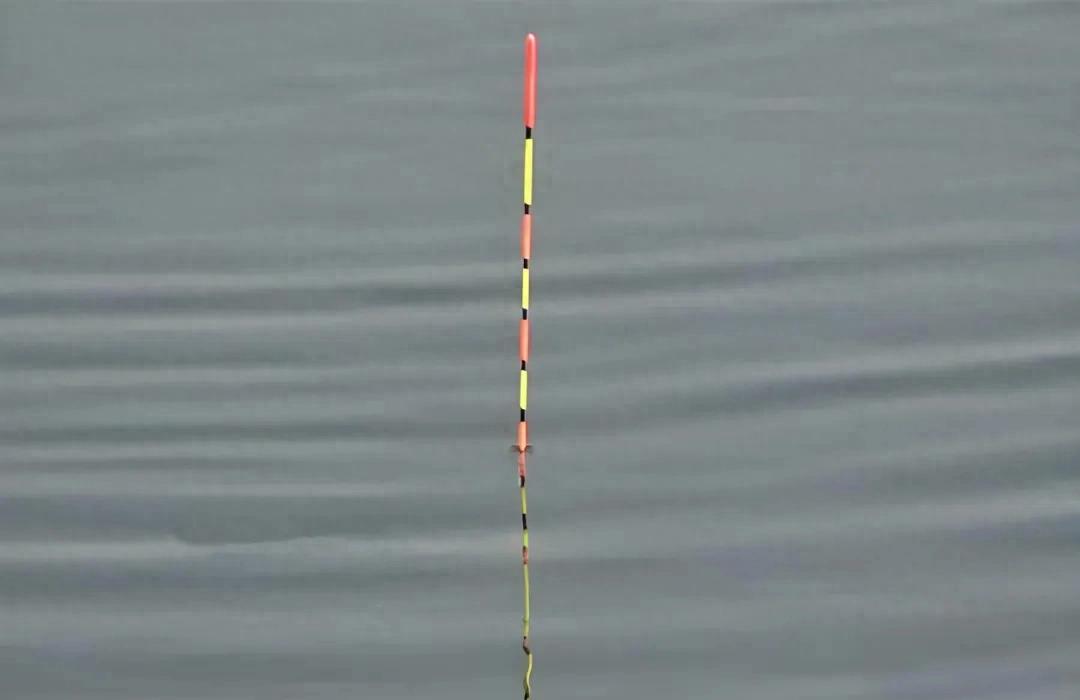 钓鲫鱼调漂技法全解析，4种经典调法应对不同季节鱼情，方法简单