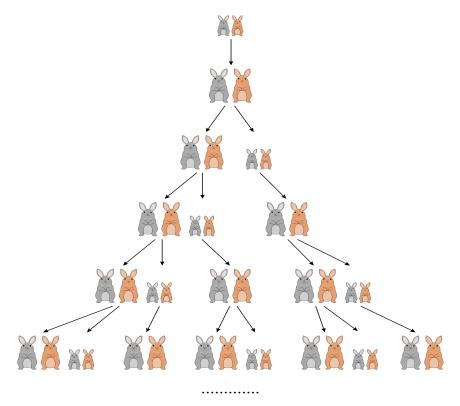 斐波那契数列生活应用_斐波那契数列 黄金分割数 杨辉三角形