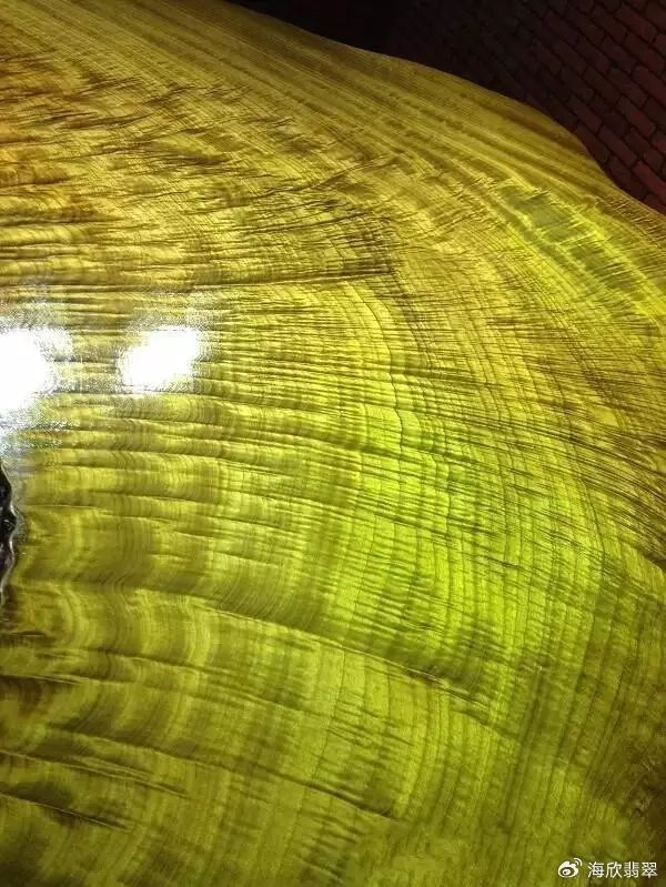 金丝楠老料横切面图片_黄金樟和香樟的区别_黄心楠学名叫普文楠