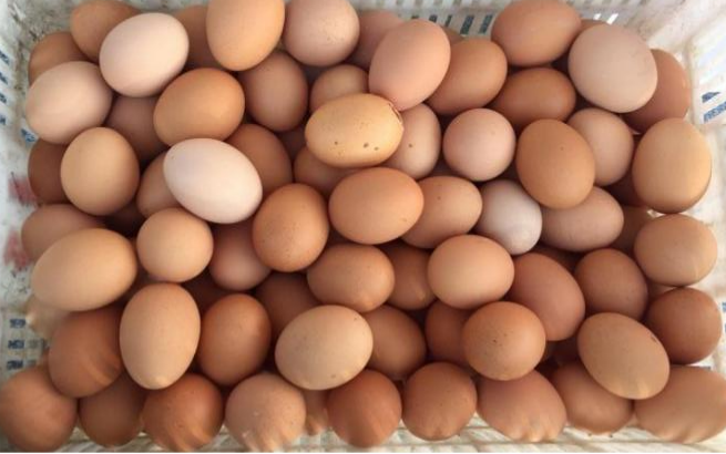 牛顿第一定律生活应用_牛顿定律实际应用_应用定律牛顿生活中的例子