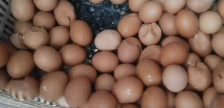 牛顿第一定律生活应用_应用定律牛顿生活中的例子_牛顿定律实际应用