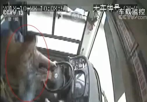 台州公交tod_台州全域公交_台州兜兜公交