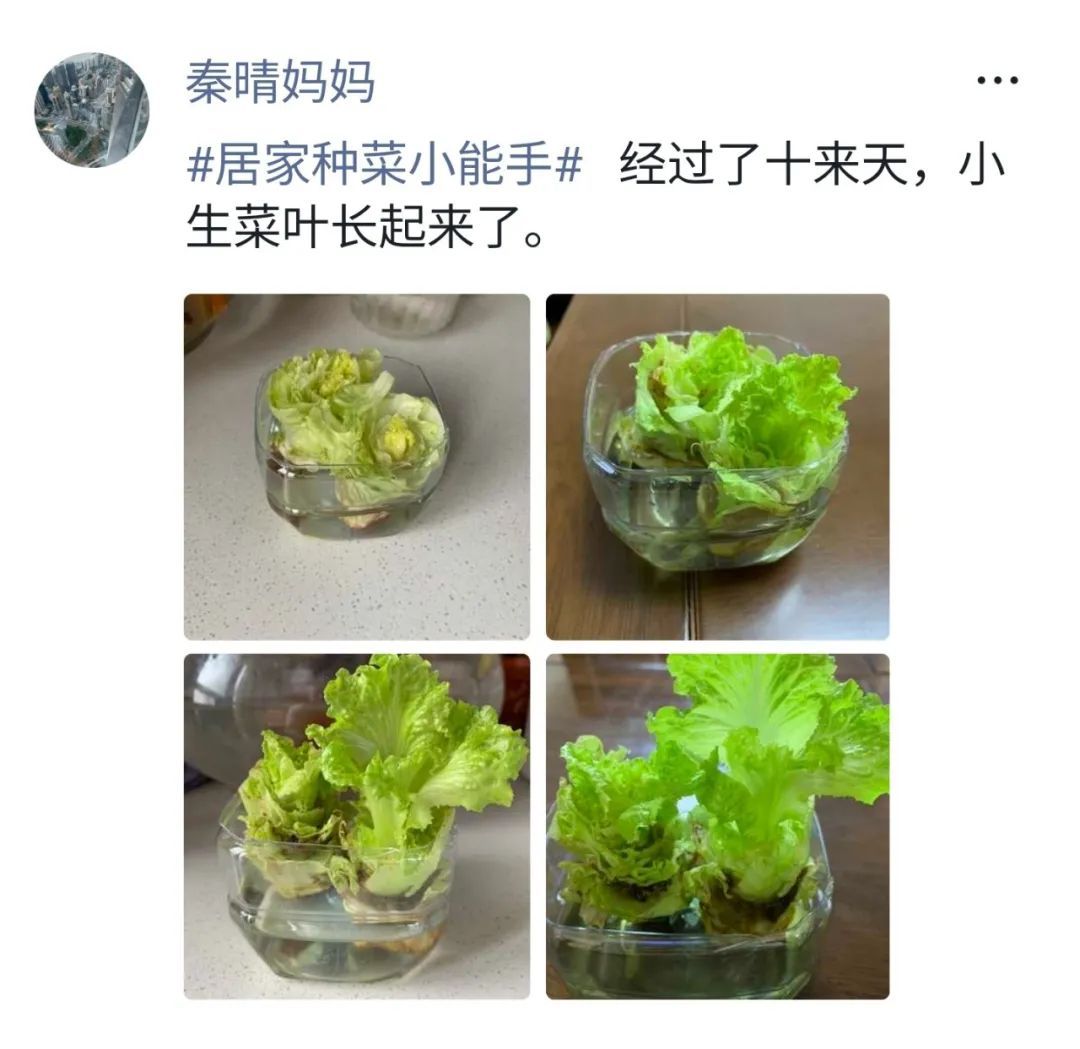 小学数学疫情作业_社区防疫数学应用_生活中数学应用小报