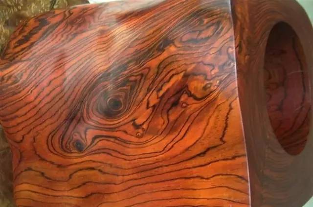 金丝楠老料横切面图片_木材优劣经验性判断标准_高级木材基本特征判断