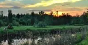 数字生活十四五规划改变_网络改变生活有什么应用_十四五规划对日常生活的影响