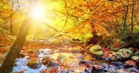 数字生活十四五规划改变_网络改变生活有什么应用_十四五规划对日常生活的影响