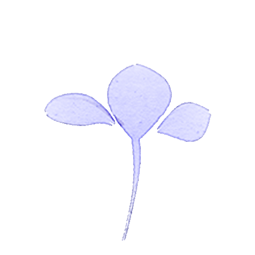 邀请好友赢现金奖励_腾讯新闻游戏礼包在哪_游戏活动瓜分现金