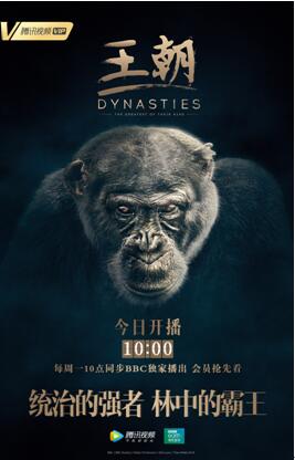 腾讯滚动新闻 游戏_腾讯视频王朝纪录片_BBC Studios动物纪录片