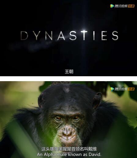 腾讯滚动新闻 游戏_腾讯视频王朝纪录片_BBC Studios动物纪录片