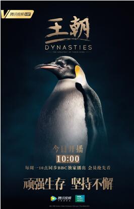 腾讯视频王朝纪录片_BBC Studios动物纪录片_腾讯滚动新闻 游戏