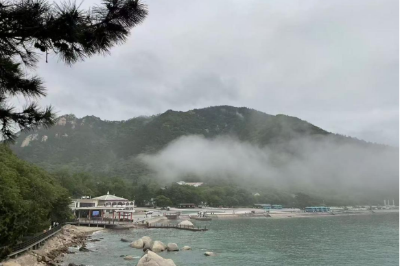 蔡格尼克效应生活应用_蔡各尼克效应_蔡家尼克效应