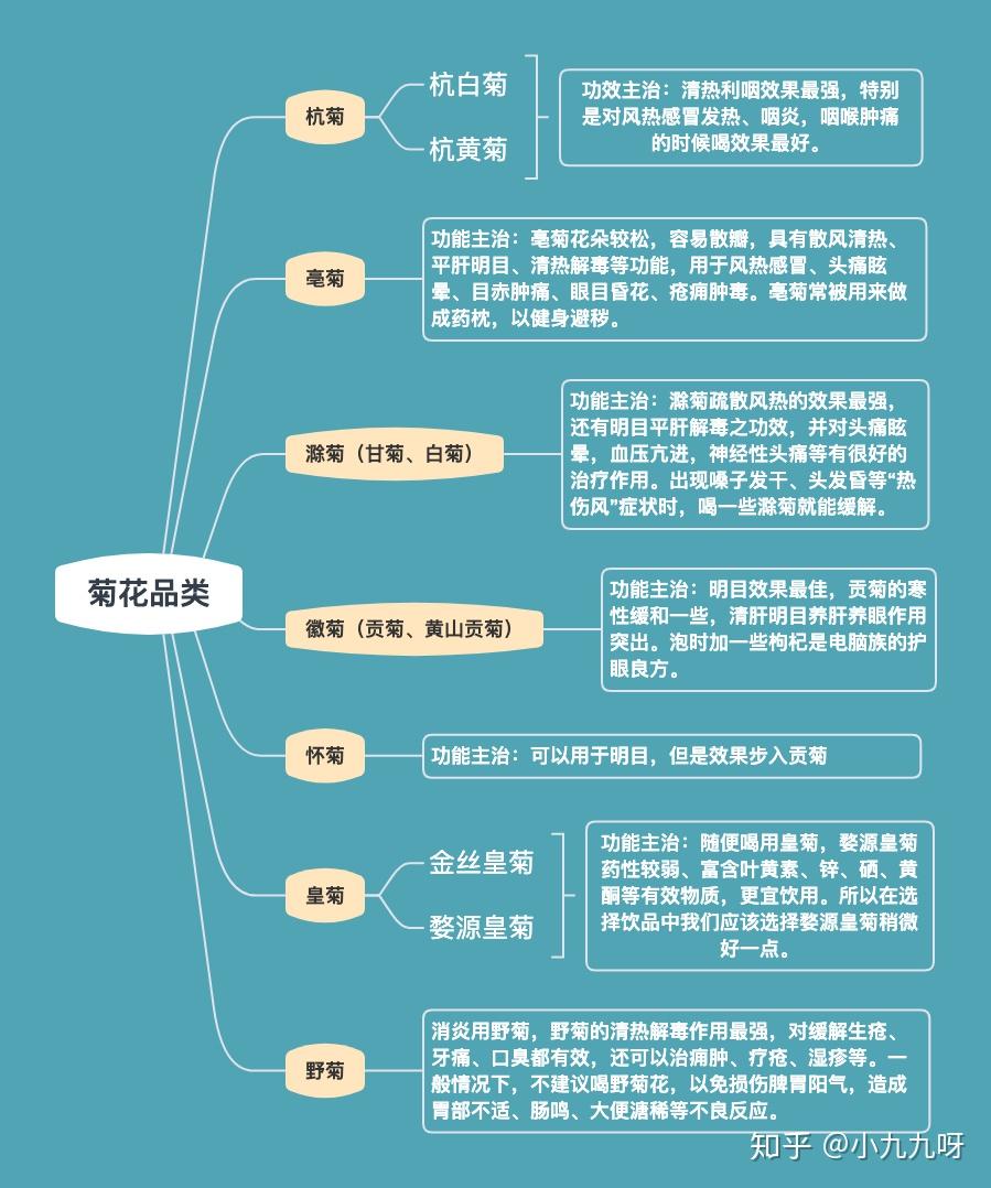 菊花茶有虫子_菊花茶功效与作用_菊花茶分类