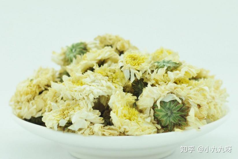 菊花茶有虫子_菊花茶功效与作用_菊花茶分类