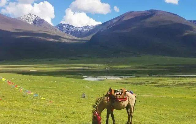 川藏线自驾游费用_川藏线自驾真实免费炮_川藏线沿途吃住费用