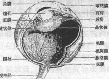 生活黑科技应用_黑科技应用市场_黑科技应用排行榜