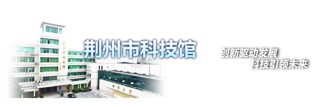 椎体上滚生活应用_锥体上滚原理_科普大篷车重心运动