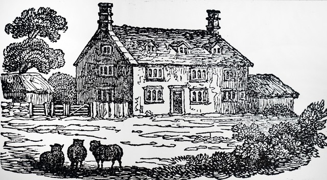 牛顿定律理财法则_理财规律与科学思维_牛顿第一定律生活应用