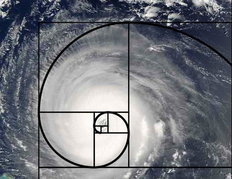 斐波那契数列生活中的例子_斐波那契数列生活应用_斐波那契数列生活中有哪些应用