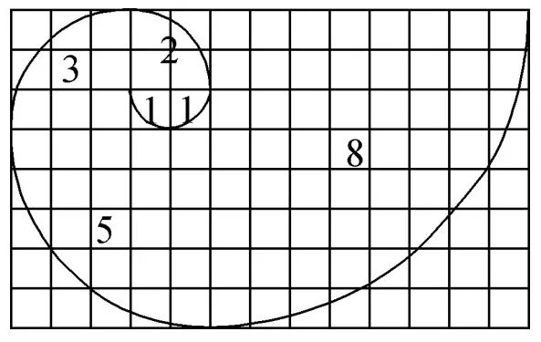 斐波那契数列生活中有哪些应用_斐波那契数列生活中的例子_斐波那契数列生活应用