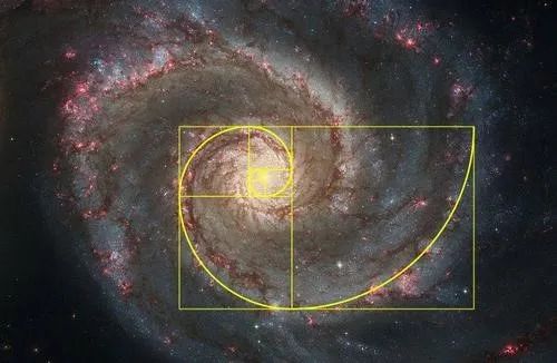斐波那契数列生活中的例子_斐波那契数列生活中有哪些应用_斐波那契数列生活应用