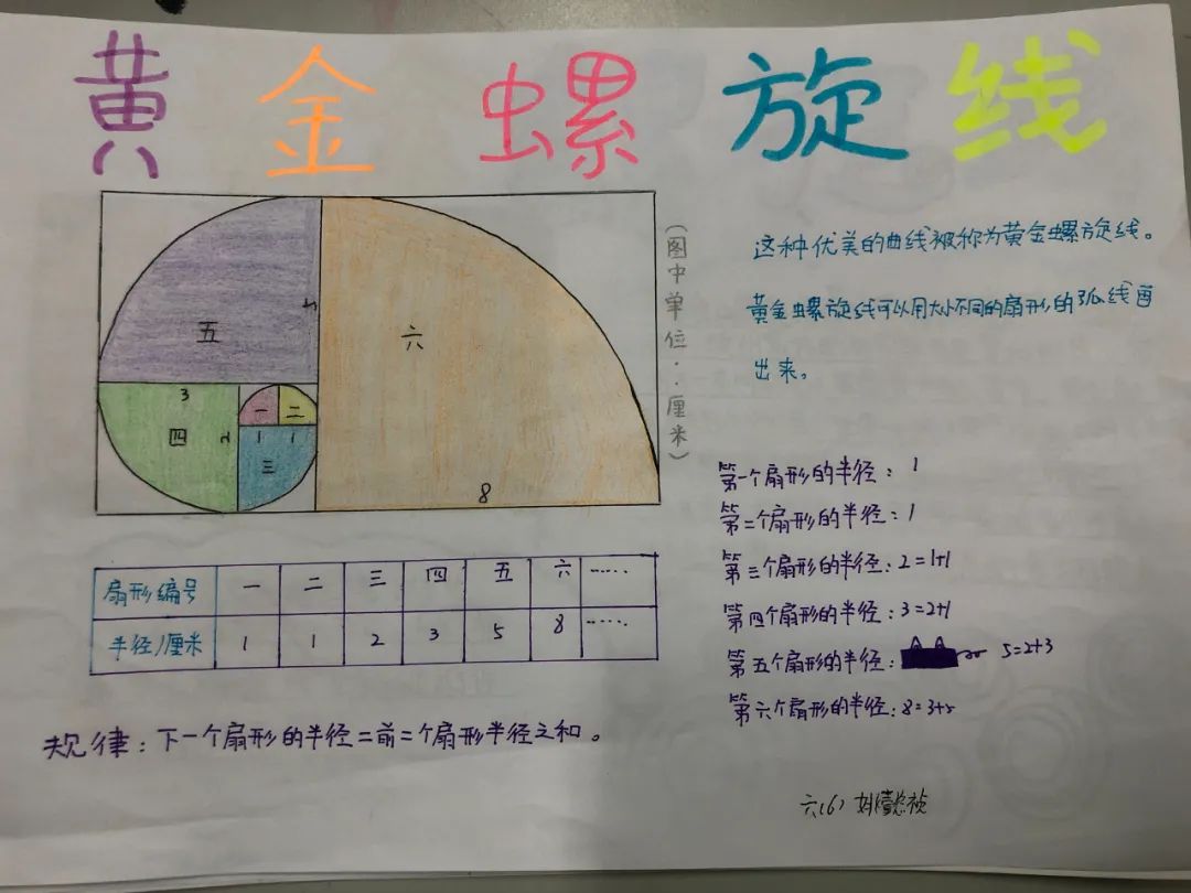 斐波那契数列生活应用_斐波那契数列生活中有哪些应用_斐波那契数列生活中的例子