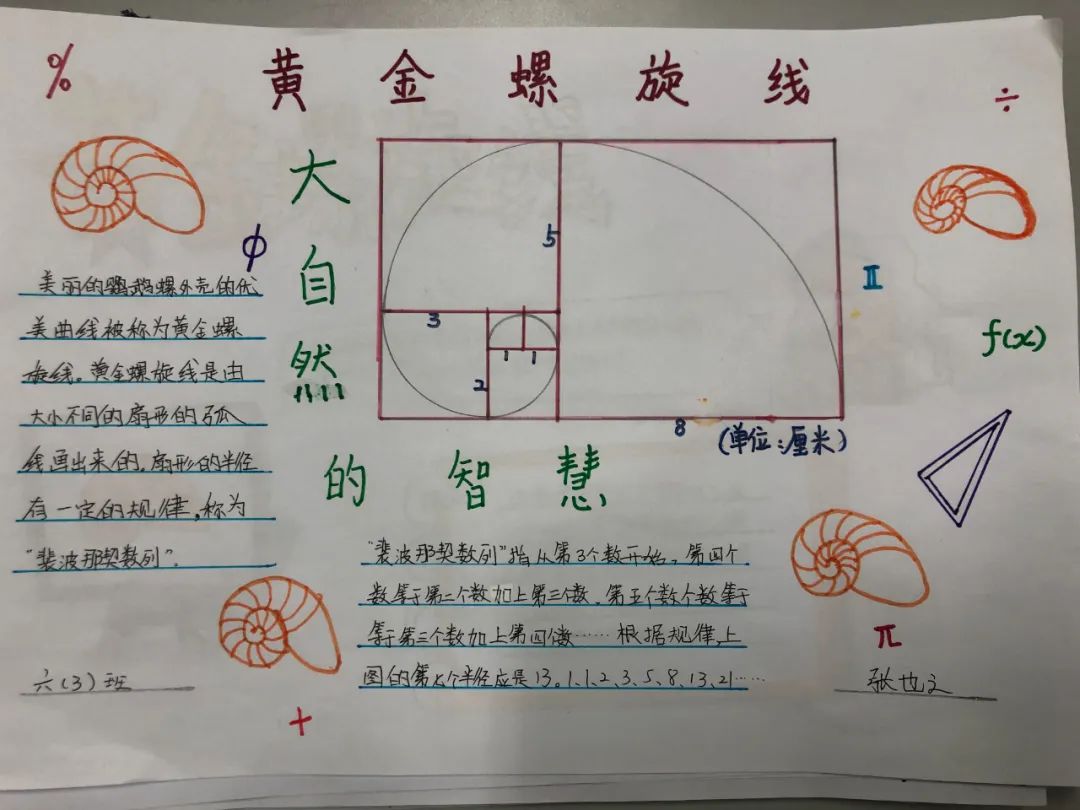 斐波那契数列生活应用_斐波那契数列生活中有哪些应用_斐波那契数列生活中的例子