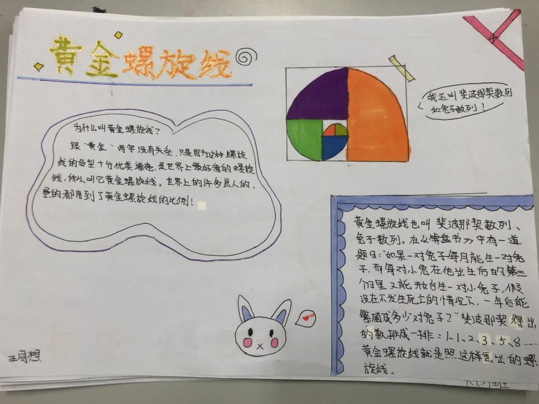 斐波那契数列生活中有哪些应用_斐波那契数列生活中的例子_斐波那契数列生活应用