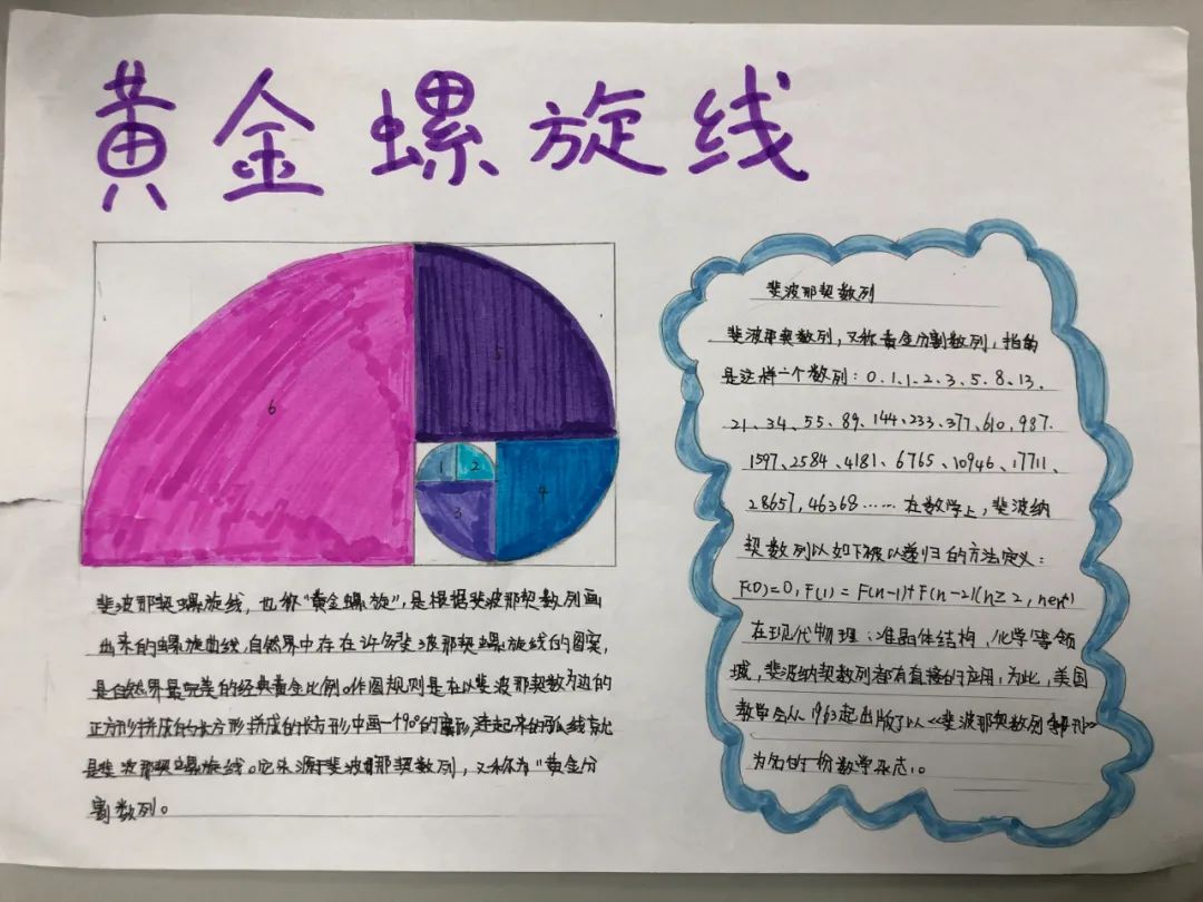 斐波那契数列生活应用_斐波那契数列生活中有哪些应用_斐波那契数列生活中的例子