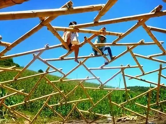 遗传算法的实际应用例子_遗传算法应用案例_遗传算法应用生活实例