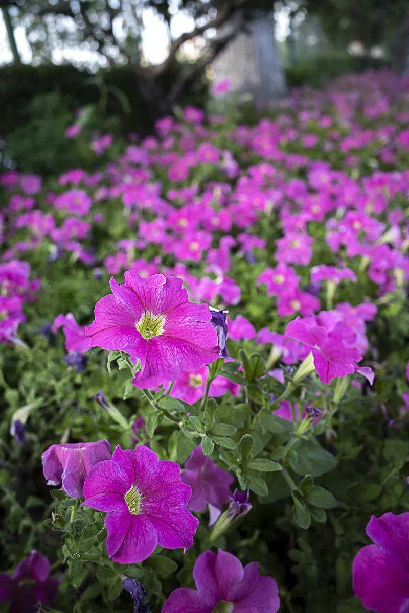 退休3年悟透：亲戚往来别求周全，3种时候拒绝更顺心