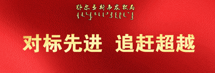 致广大农牧民朋友的一封信——警惕打着合作社旗号的非法集资陷阱