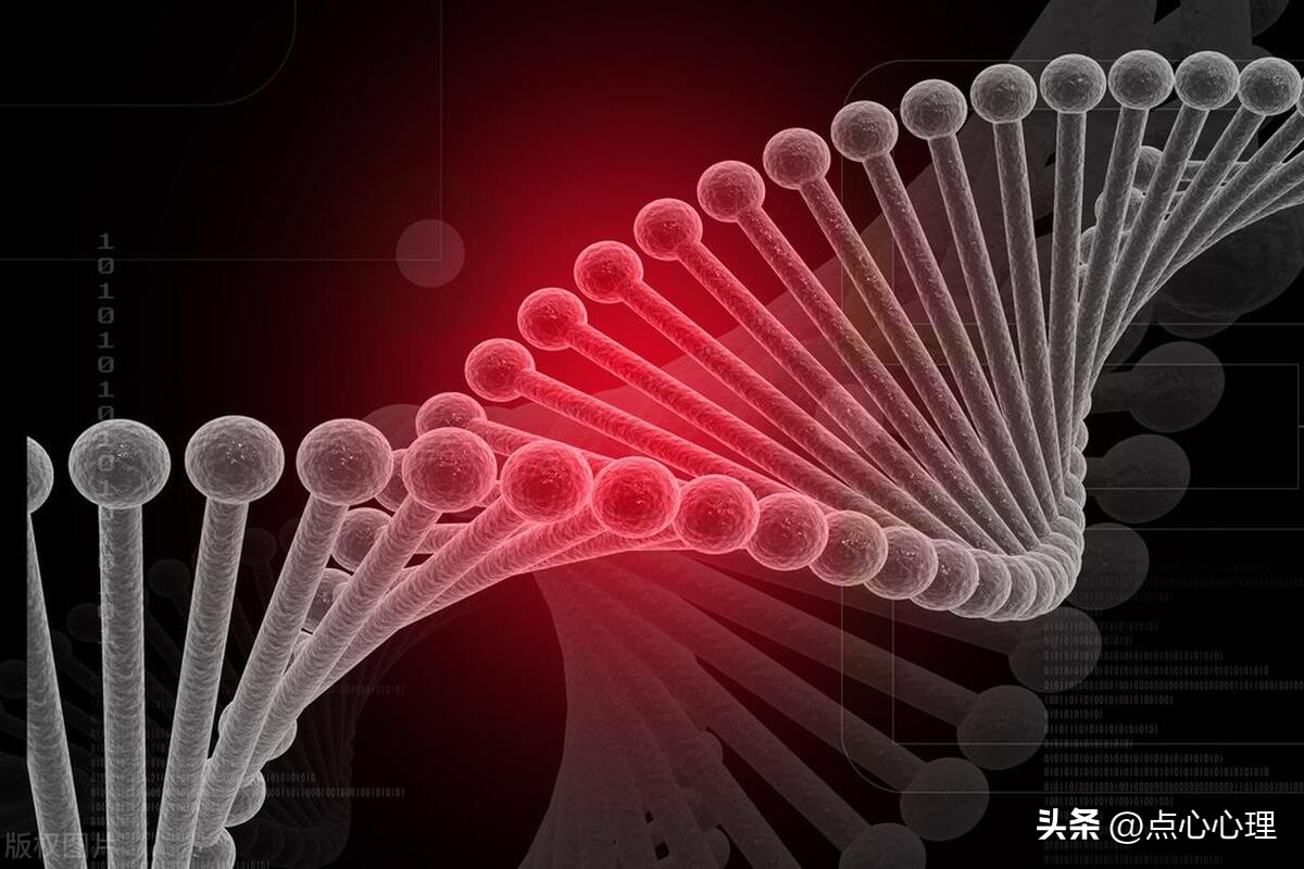 简述应用知觉的经营策略有哪些_知觉特性应用的例子_知觉的基本特征 生活应用