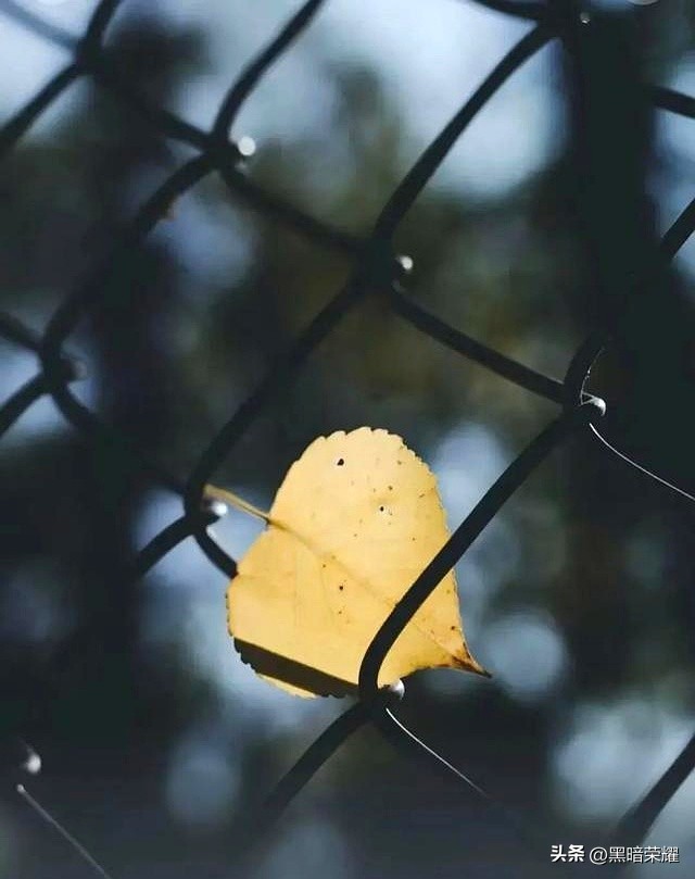 退休独处享受_不和别人人情往来_退休社交断舍离