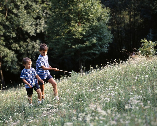 中年兄弟姐妹相处之道_不和别人人情往来_兄弟姐妹关系修复