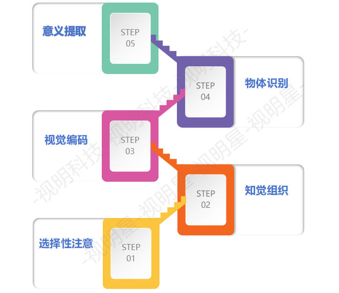 知觉的应用_简述应用知觉的经营策略有哪些_知觉的基本特征 生活应用