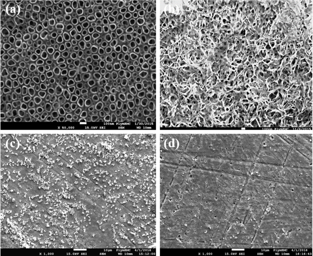 纳米技术日常生活应用_纳米技术应用于生活的情景_纳米技术生活应用