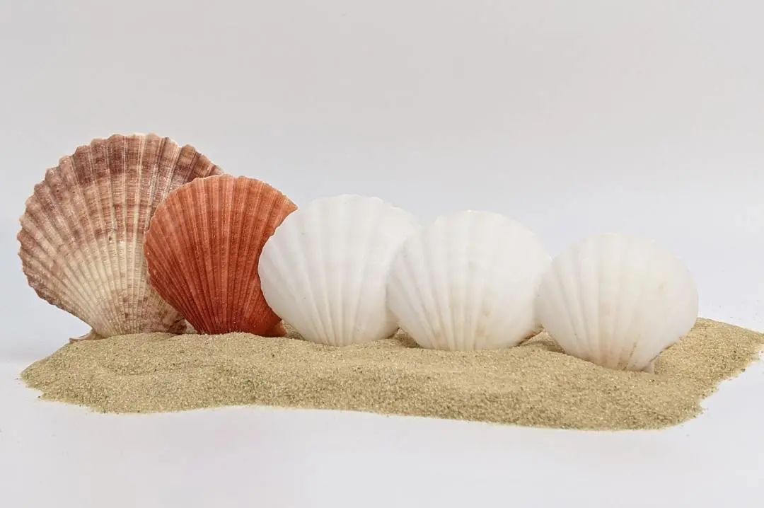 纳米技术应用于生活的情景_纳米技术生活应用_纳米技术日常生活应用