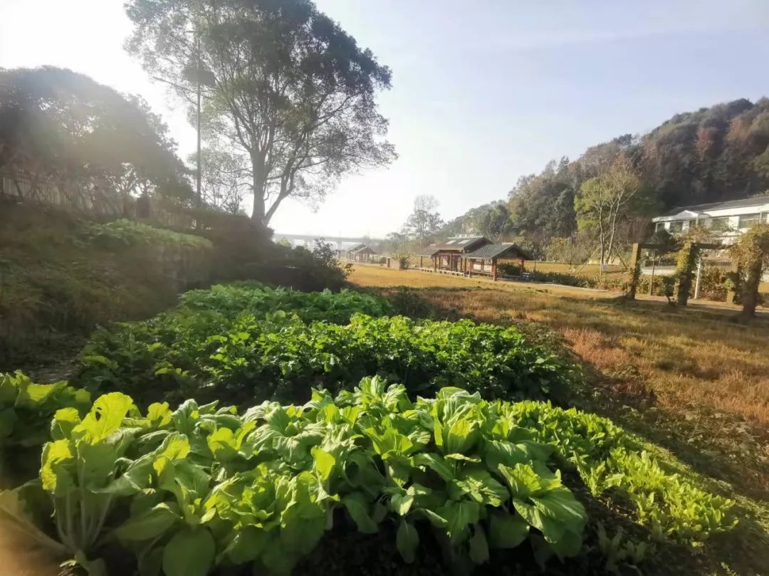 啪啪是什么意思_意思是什么_意思是的英文