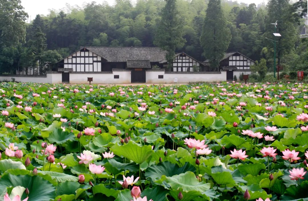 啪啪是什么意思_意思是什么_意思是的英文