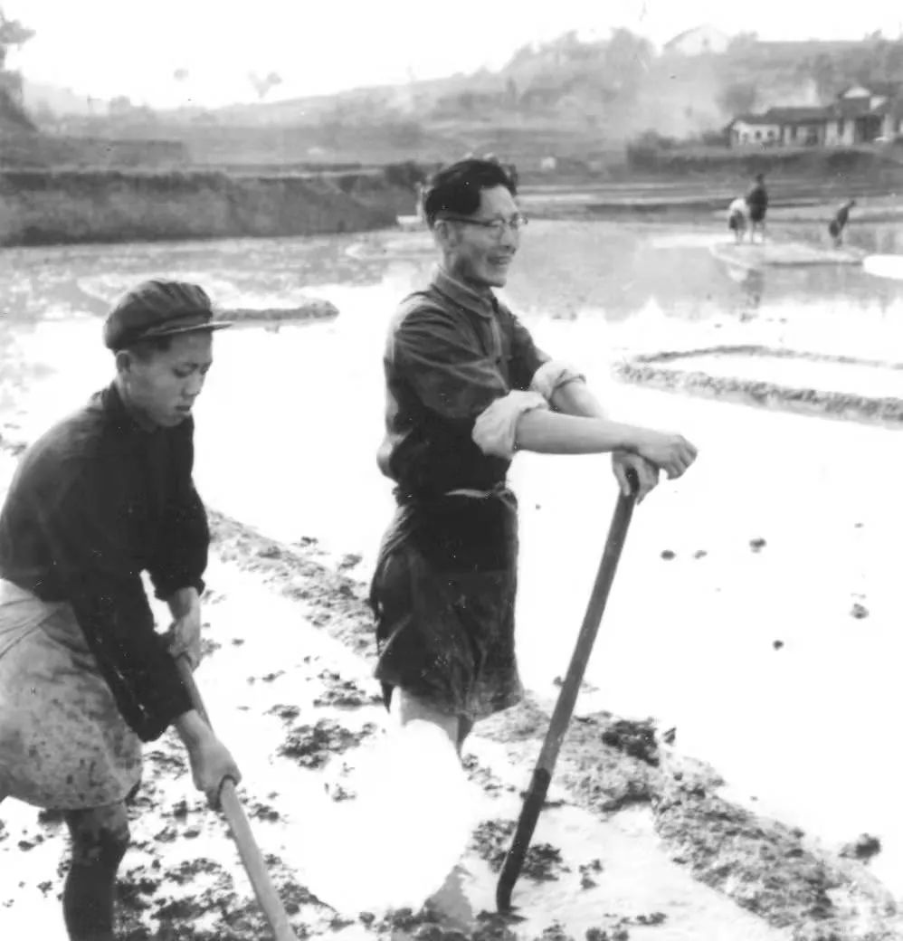 意思是的英文_啪啪是什么意思_意思是什么