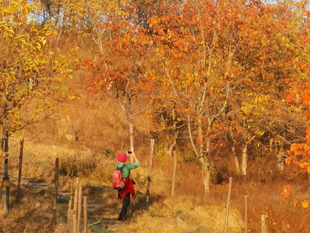 啪啪是什么意思_意思是什么_意思是的英文