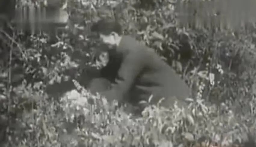 啪啪是什么意思_意思是什么_意思是的英文