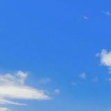 pg下载赏金下载 炸穿2026！统计学类专业就业全拆解