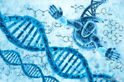 pg下载赏金下载 仿生智能算法系列之四---遗传算法