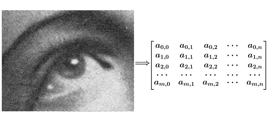 卷积意义解析_卷积在生活应用_卷积名词解释