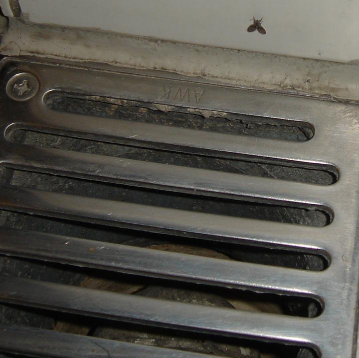 白斑蛾蚋 下水道昆虫 适应城市环境_家里 小虫子 1毫米 是什么 防 图