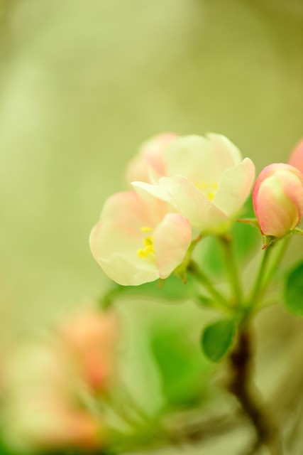 pg下载麻将胡了 自学方法指导第三讲，以牛顿定律三大基石之例题为例