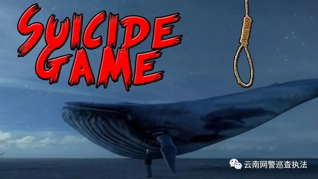 蓝鲸事件游戏_关于前几年有关蓝鲸的游戏视频_有关蓝鲸游戏新闻