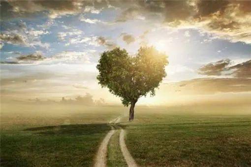 蔡格尼克效应生活应用_蔡格尼克效应 心理学效应 初恋未完成性