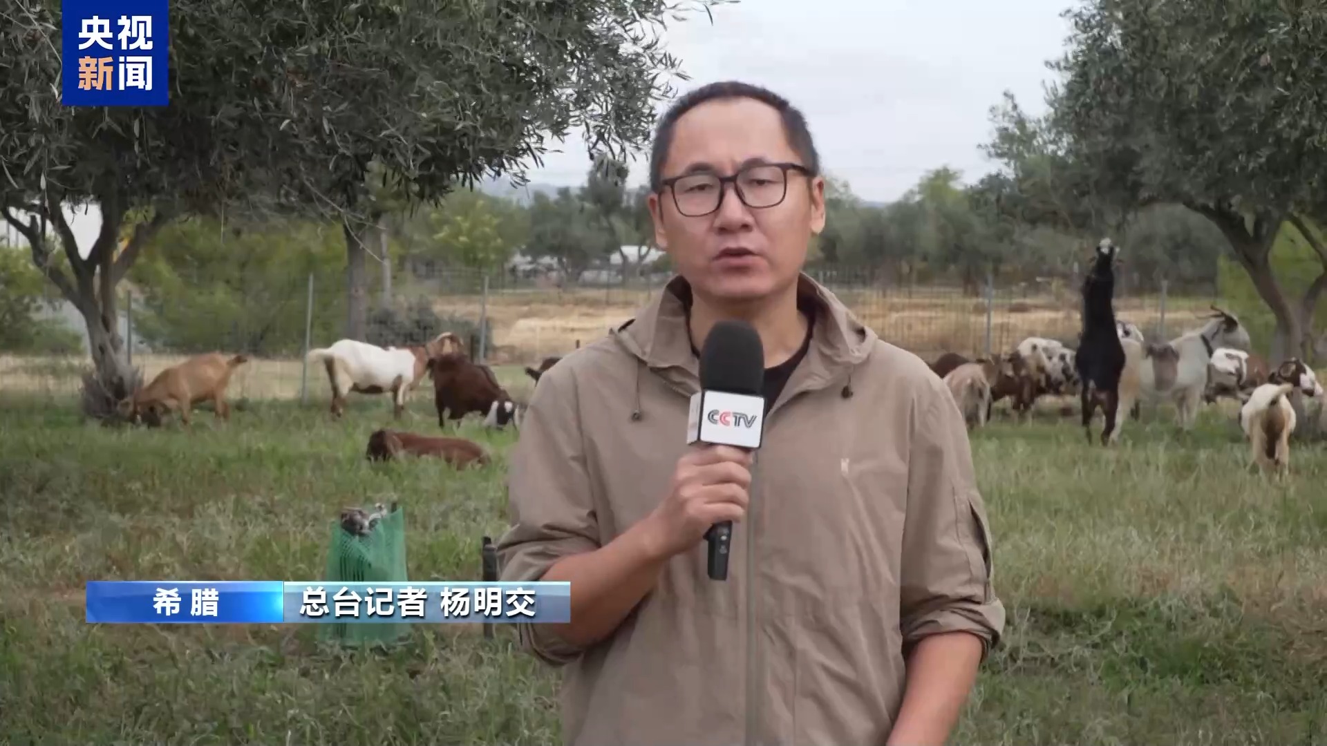 希腊羊痘疫情_羊痘病毒感染数据_人感染羊痘病毒的治疗